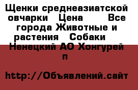 Щенки среднеазиатской овчарки › Цена ­ 1 - Все города Животные и растения » Собаки   . Ненецкий АО,Хонгурей п.